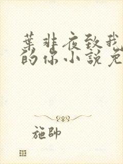 叶非夜致我最爱的你小说免费阅读