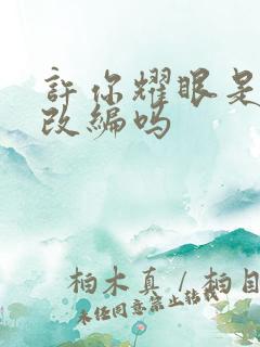 许你耀眼是小说改编吗