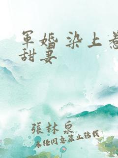 军婚 染上惹火甜妻