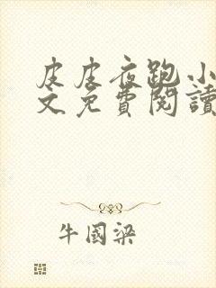 皮皮夜跑小说全文免费阅读