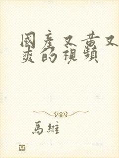 国产又黄又色又爽的视频