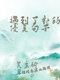 遇到了对的人的优美句子