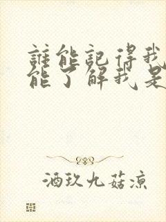 谁能记得我谁又能了解我是什么歌