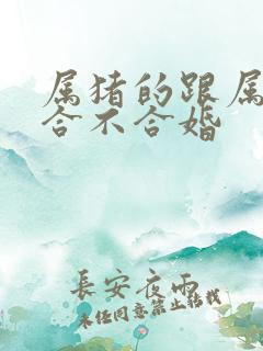 属猪的跟属马的合不合婚