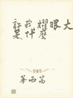 许我耀眼大结局是什么