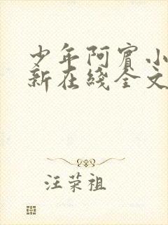 少年阿宾小说最新在线全文阅读