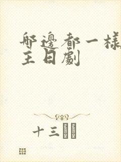 哪边都一样双男主日剧