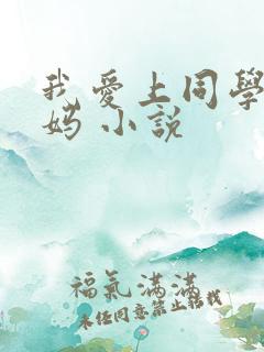 我爱上同学的妈妈 小说