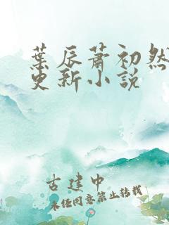 叶辰萧初然最快更新小说