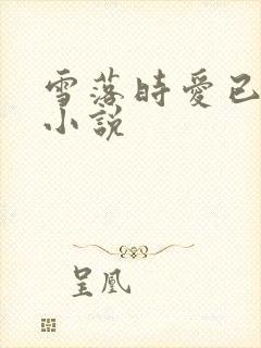 雪落时爱已落幕小说