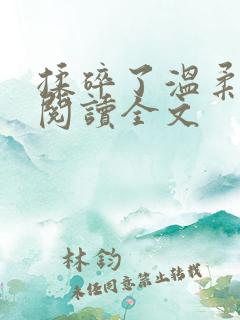 揉碎了温柔小说阅读全文