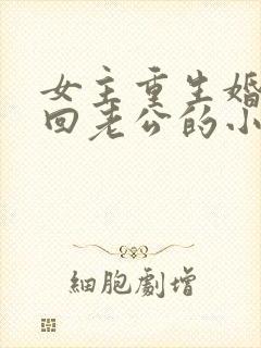 女主重生婚内挽回老公的小说