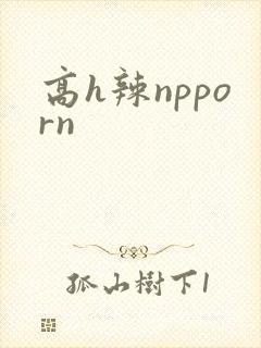 高h辣npporn