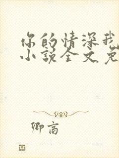 你的情深我不配小说全文免费阅读