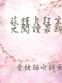 苏槿月段寒忱全文阅读最新章节更新