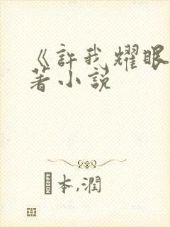 《许我耀眼》原著小说