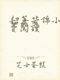 韶华若锦小说免费阅读