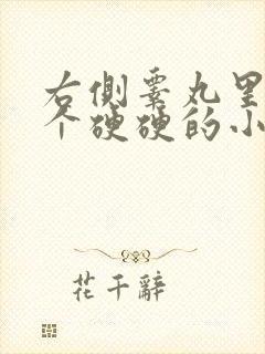 右侧睾丸里面有个硬硬的小疙瘩