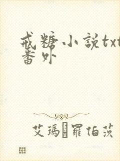 戒糖小说txt番外