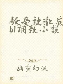 骚受被彻底草坏bl调教小说