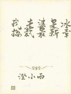 我老婆是冰山女总裁最新章节阅读