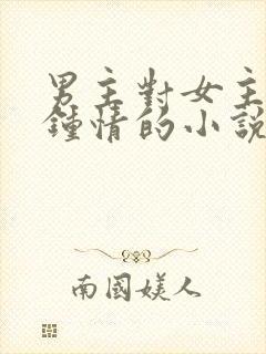 男主对女主一见钟情的小说