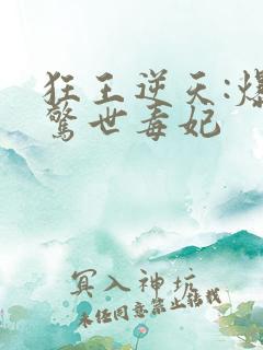 狂王逆天:爆宠惊世毒妃