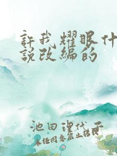 许我耀眼什么小说改编的