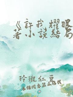 《许我耀眼》原著小说结局