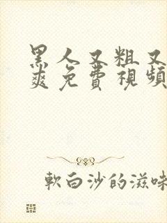 黑人又粗又猛又爽免费视频