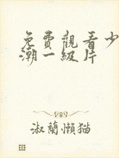 免费观看少妇高潮一级片