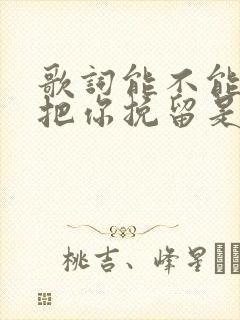 歌词能不能让我把你挽留是什么歌