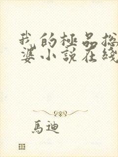 我的极品总裁老婆小说在线阅读