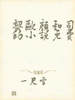 黎欧颜和司夜辰的小说免费阅读