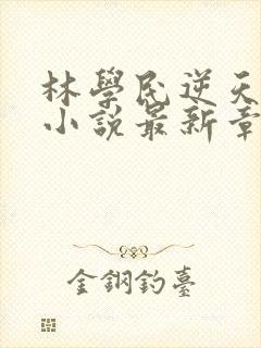 林学民逆天改命小说最新章节更新状态