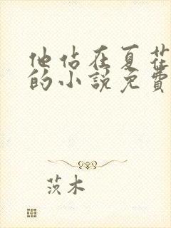 他站在夏花绚烂的小说免费