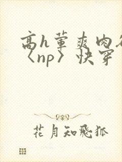 高h荤爽肉欲文〈np〉快穿