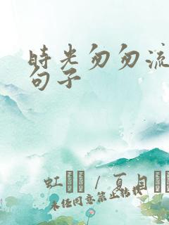 时光匆匆流逝的句子