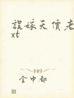 误嫁天价老公txt