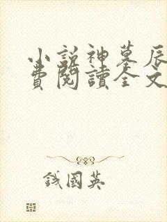 小说神墓辰东免费阅读全文