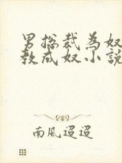 男总裁为奴被调教成奴小说