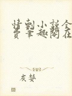 情刺小说全文免费笔趣阁在线阅读