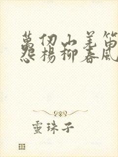 万仞山羌笛何须怨杨柳春风不度玉门关