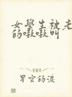 女学生被老外操的嗷嗷叫