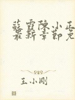 苏霞陈小正小说最新章节免费阅读