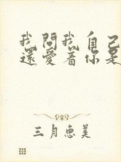 我问我自己是否还爱着你是什么歌