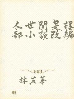 人世间是根据哪部小说改编的