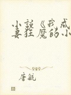 小说《我成了宠妻狂魔的小祖宗》
