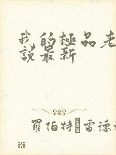 我的极品老婆小说最新