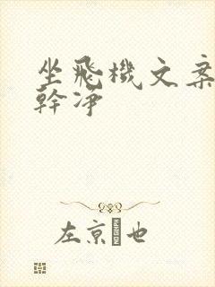 坐飞机文案短句干净